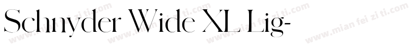 Schnyder Wide XL Lig字体转换